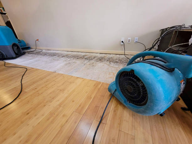 Professional Sewage Cleanup technician working in Copeland, FL